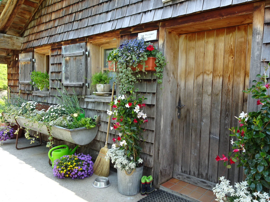 gepflegter Blumenschmuck