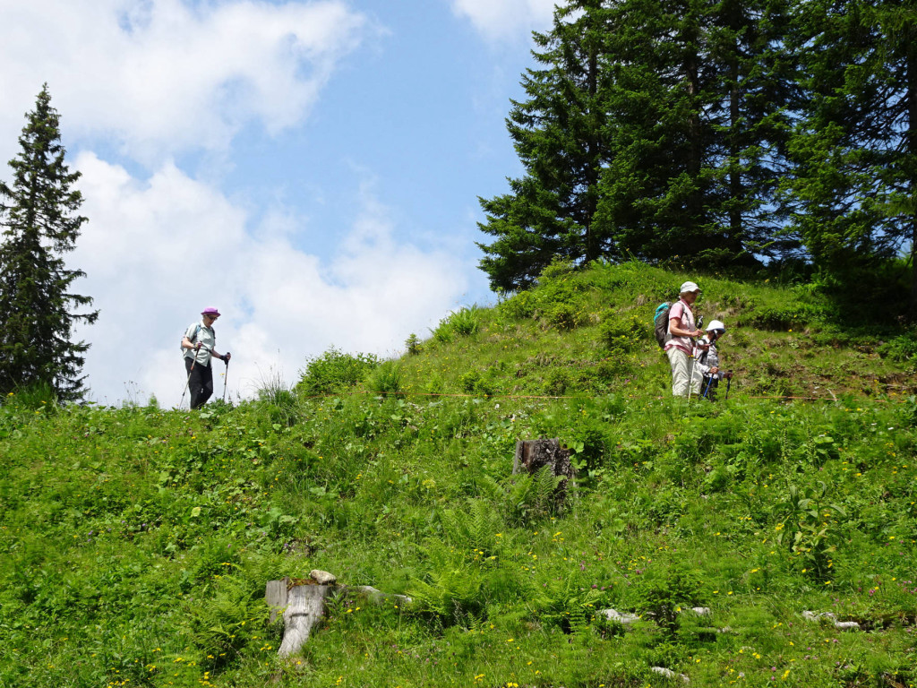 Richtung Bergstation