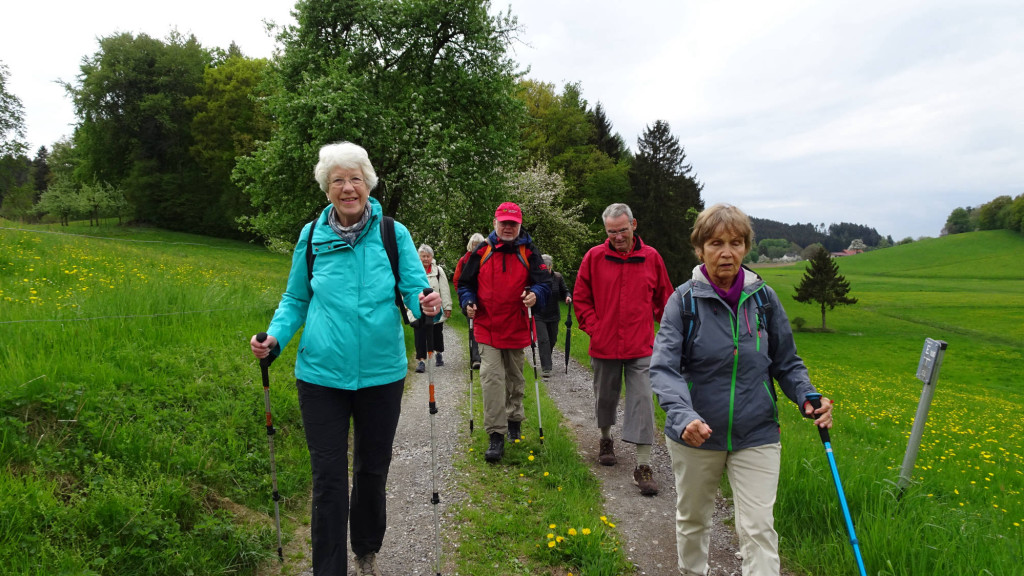 auf dem Feldweg bei Zannau