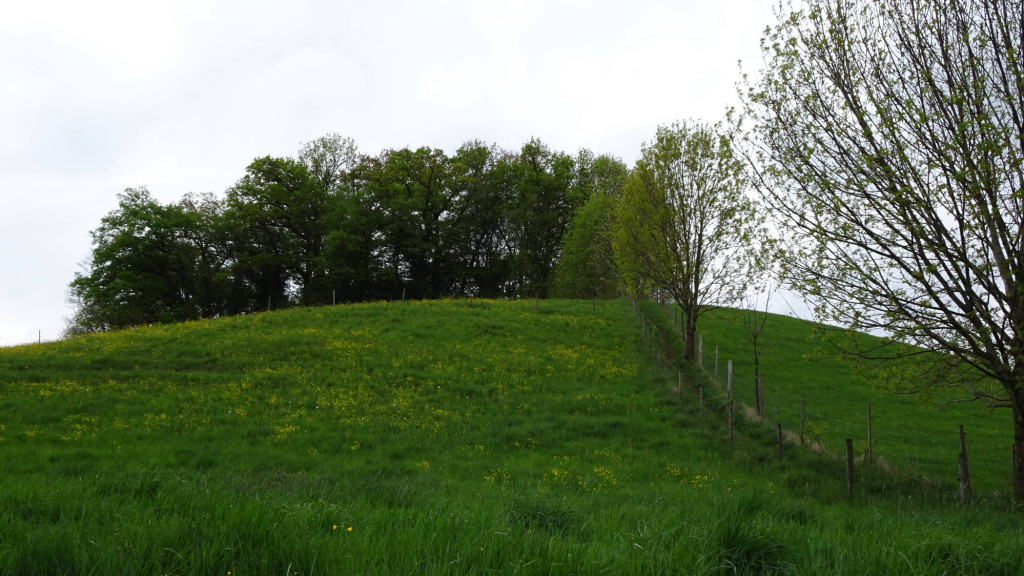 Hinter den Bäumen die nichtbegehbare Ruine Ebersberg