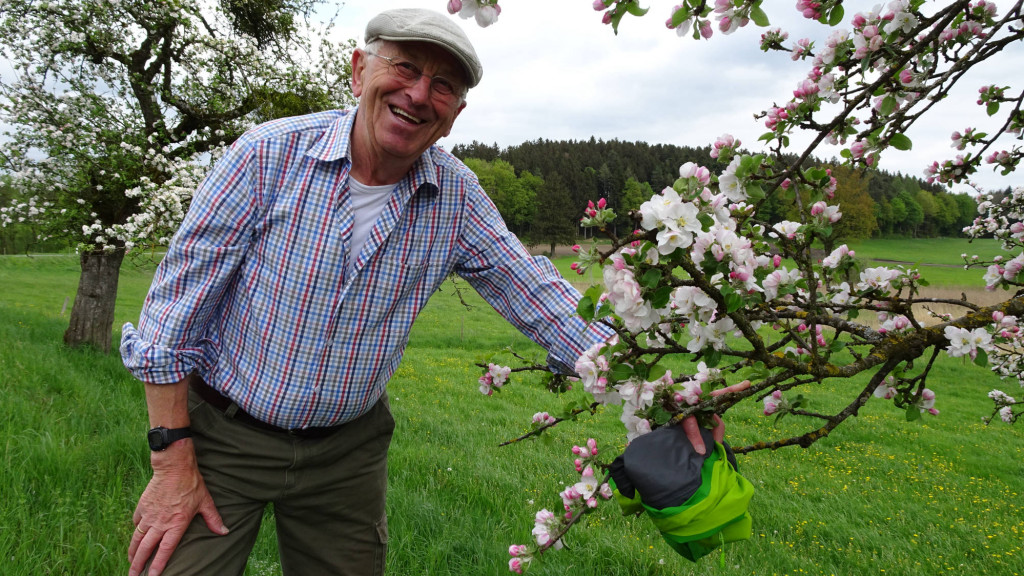 Josef präsentiert die schöne Apfelblüte