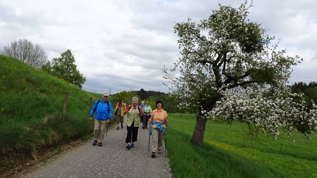 fröhlich wandern wir weiter