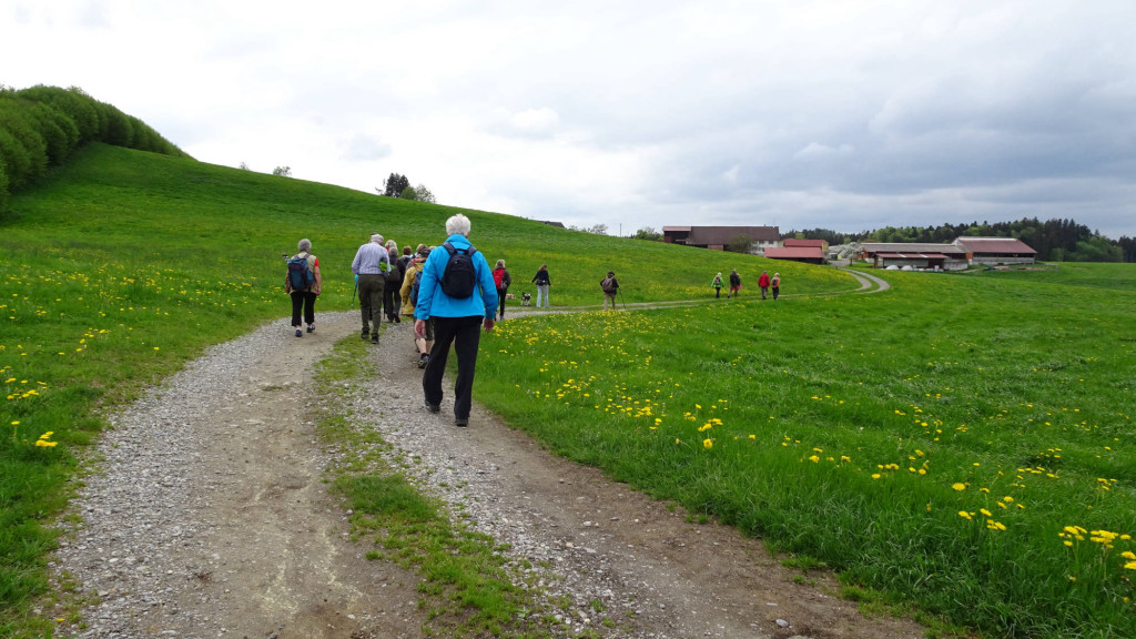 durch die hügelige Landschaft