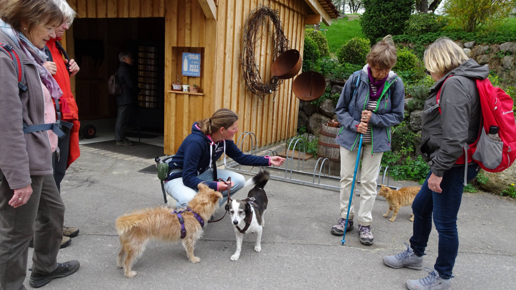 Hund Katze Albverein