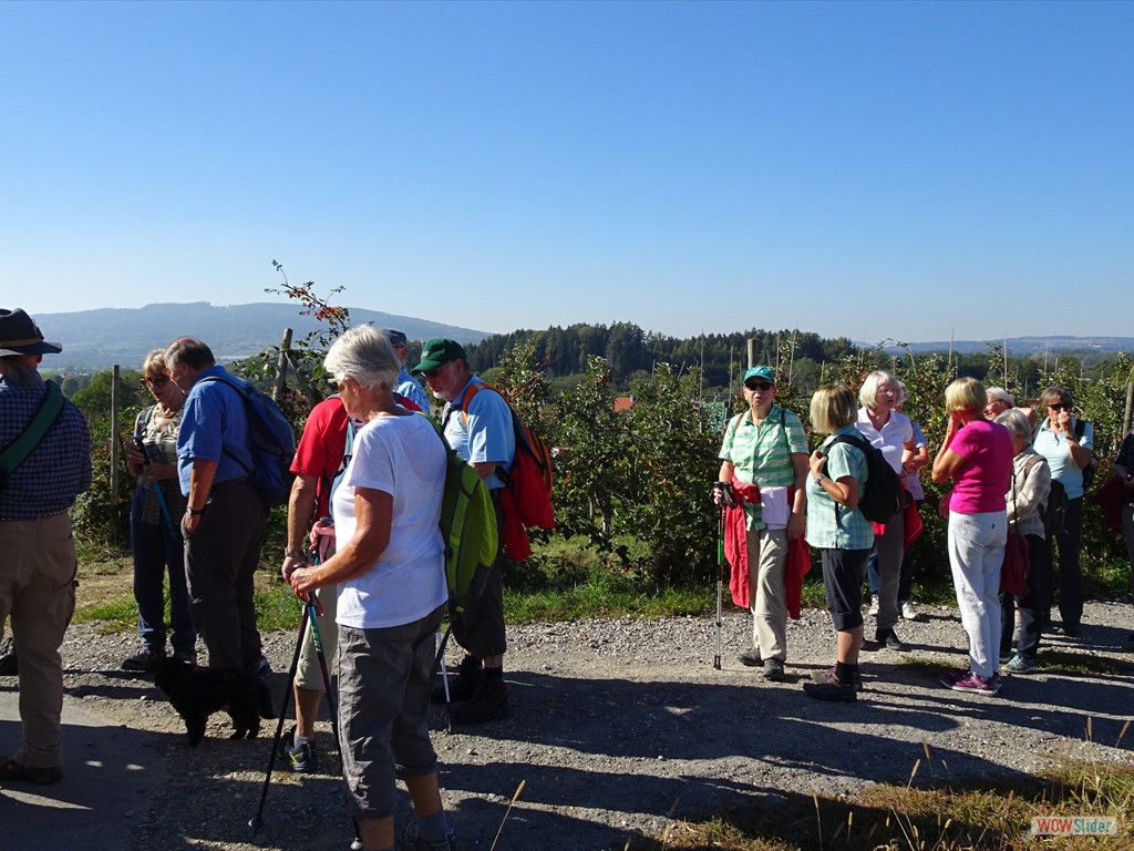 im Hintergrund der Gehrenberg 