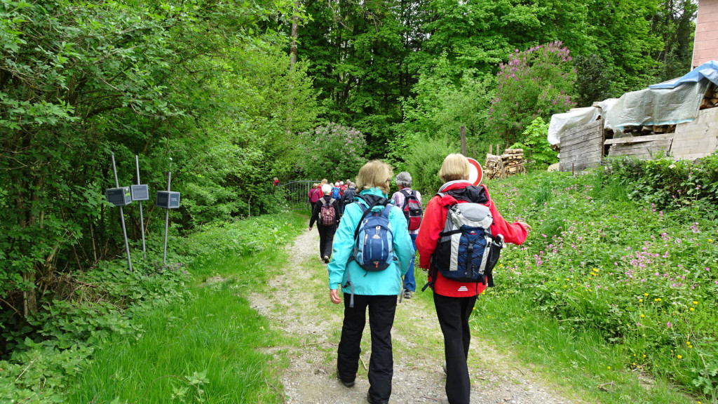 wandern