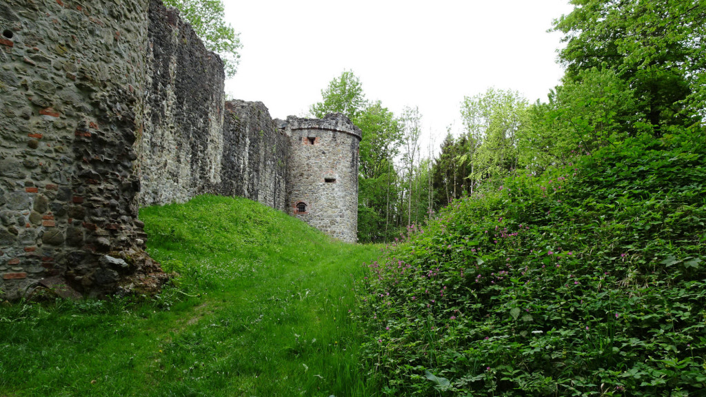 zur Burgruine