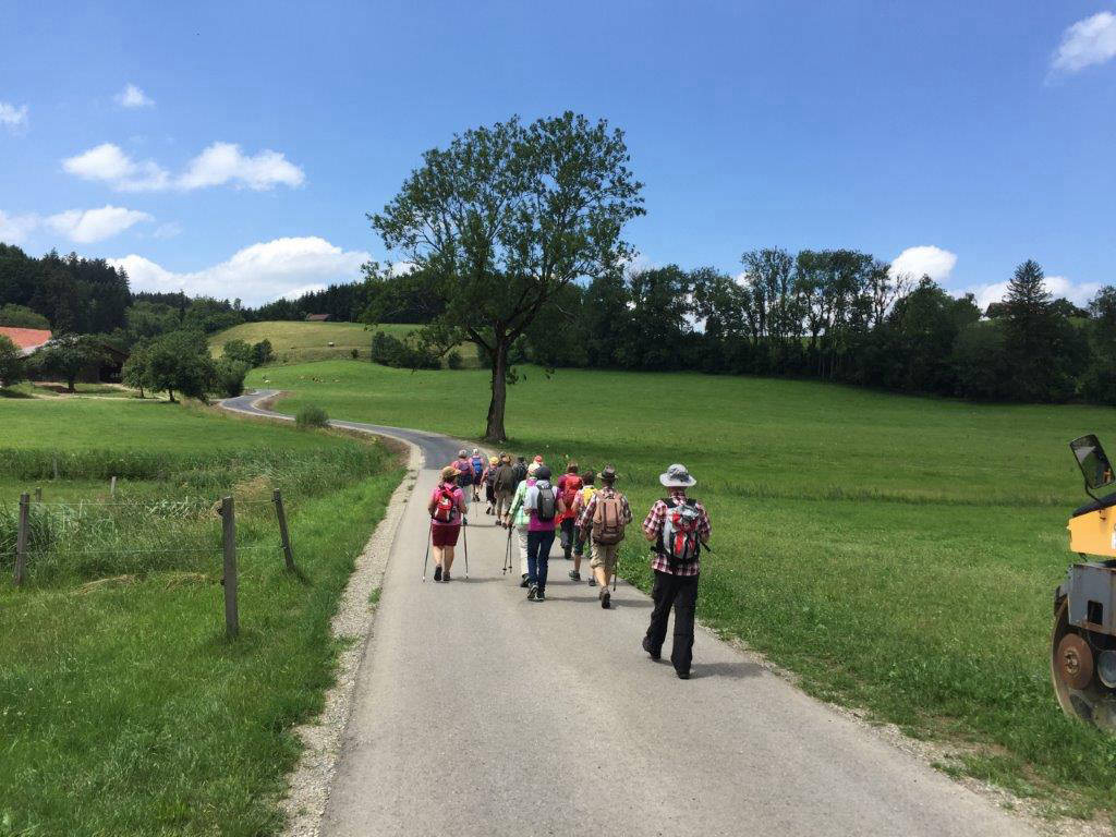 hinauf zu den Leupolzer Höhen