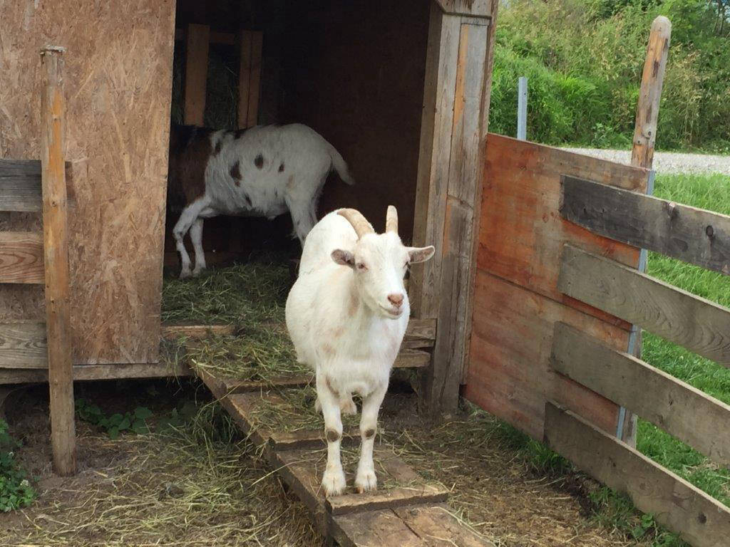 gibt es etwas zu meckern?