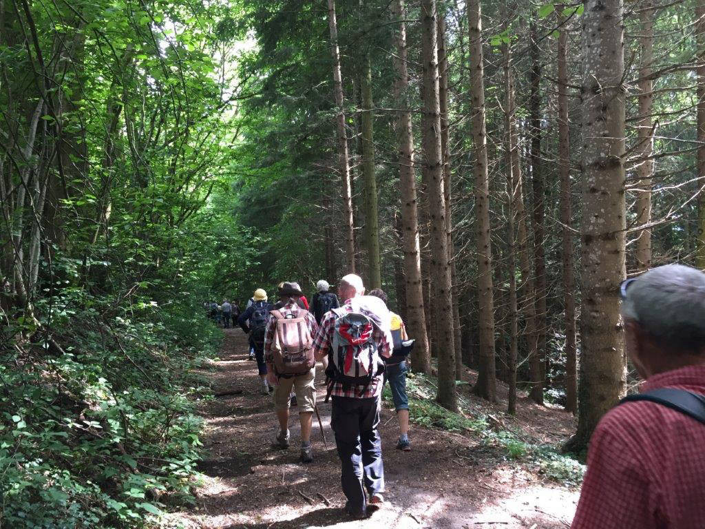 bergab vorbei an Groß- und Grundweiher