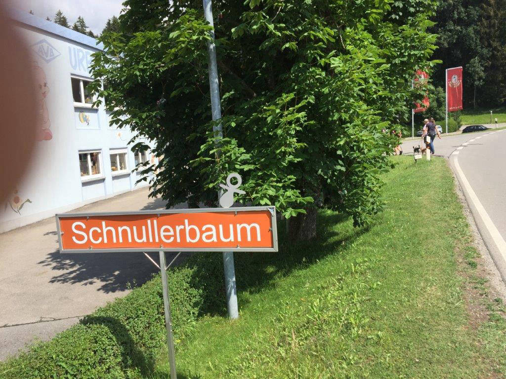 hinter dem 'Schnullerbaum' kommt unser Parkplatz