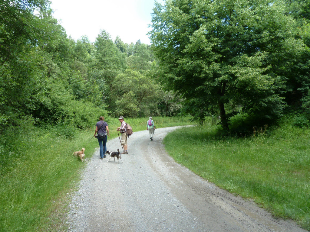 Auf breitem Weg entlang der Argen