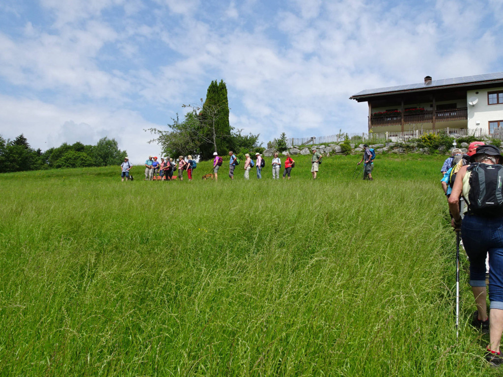 wir wandern gleich bergauf