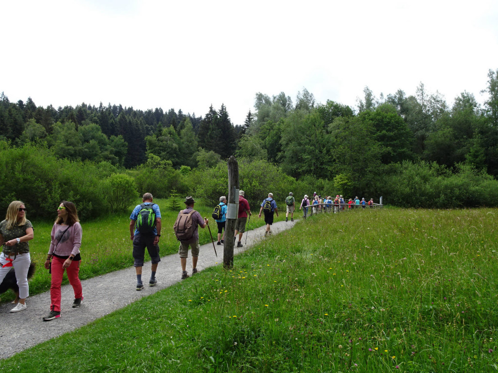 Richtung Lindenberger Waldsee