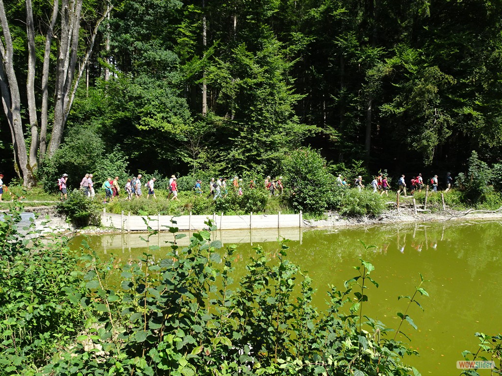 vorbei am Rösslerweiher
