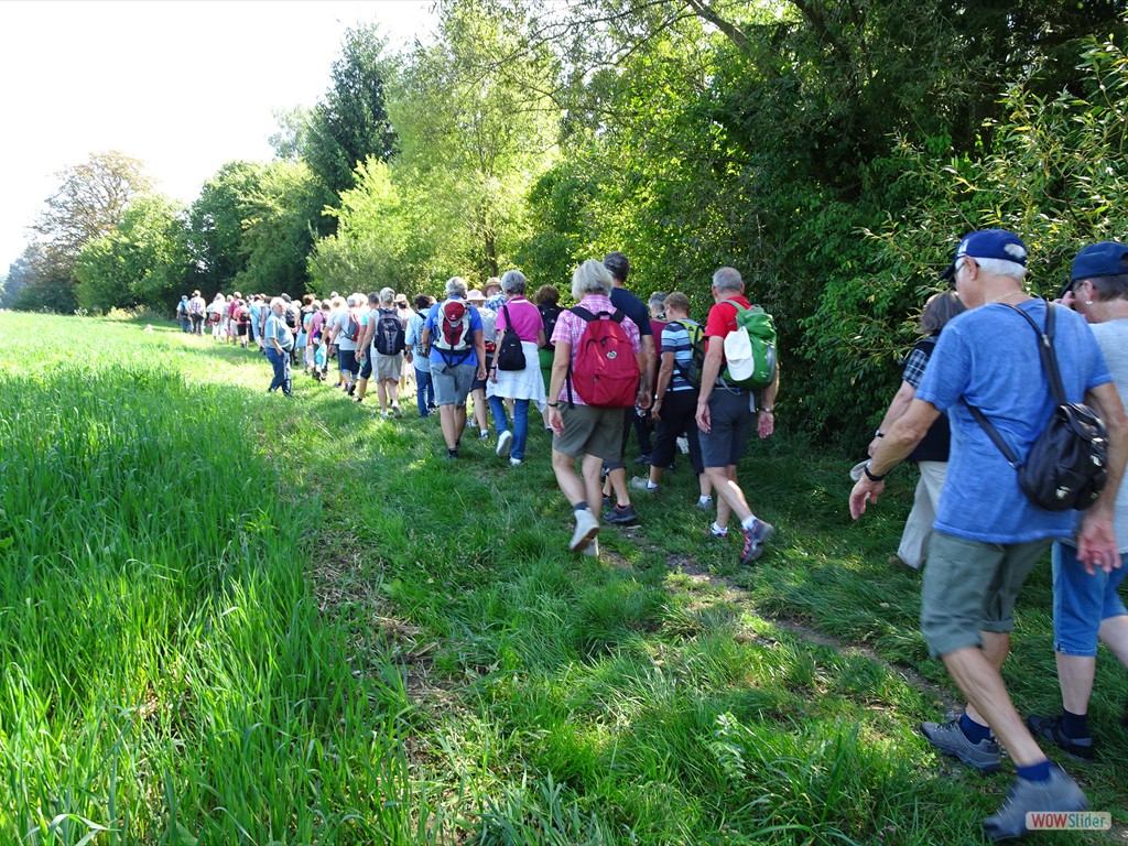 dem Gebüsch entlang weiter