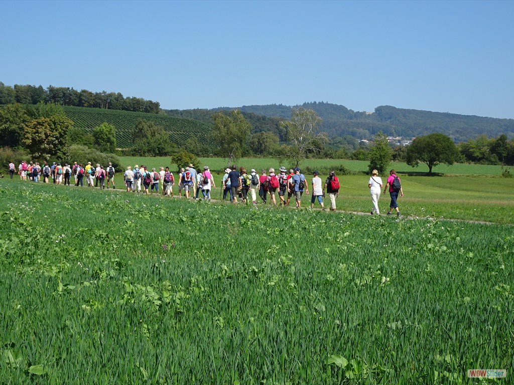 Blick zum Gehrenberg