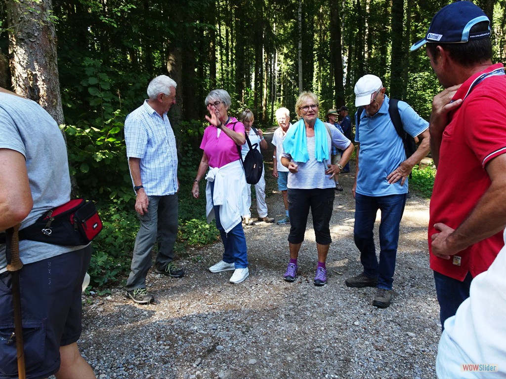 Pause im Wald