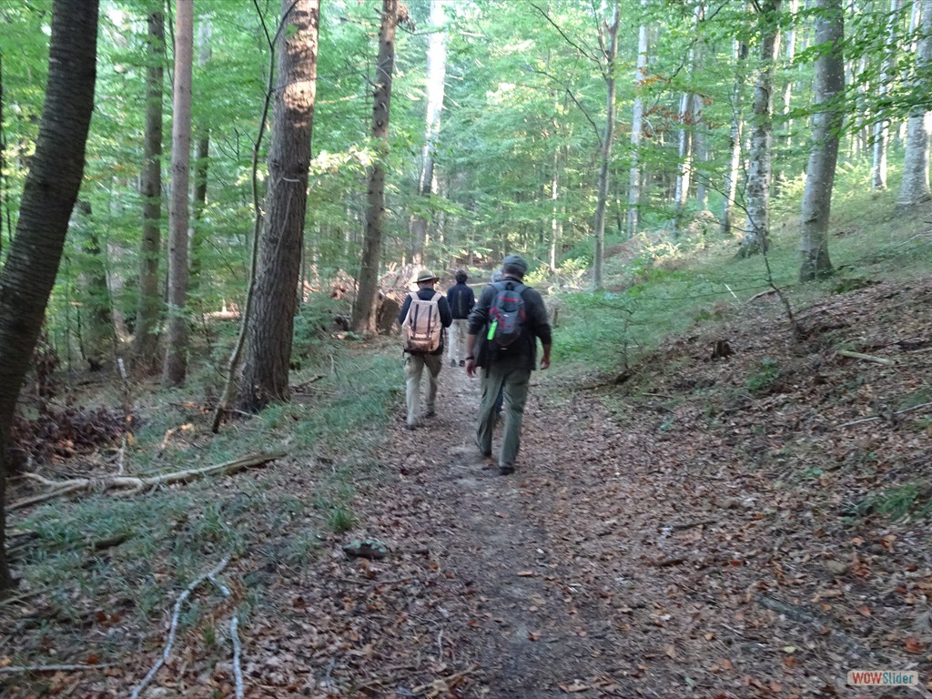 beim 40.Wilhelmsdorfer Wandertag 