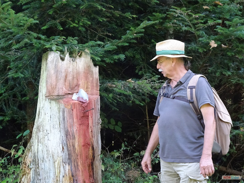 Leckstein nur für Tiere