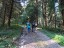 durch den Wald
