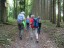 durch den Wald