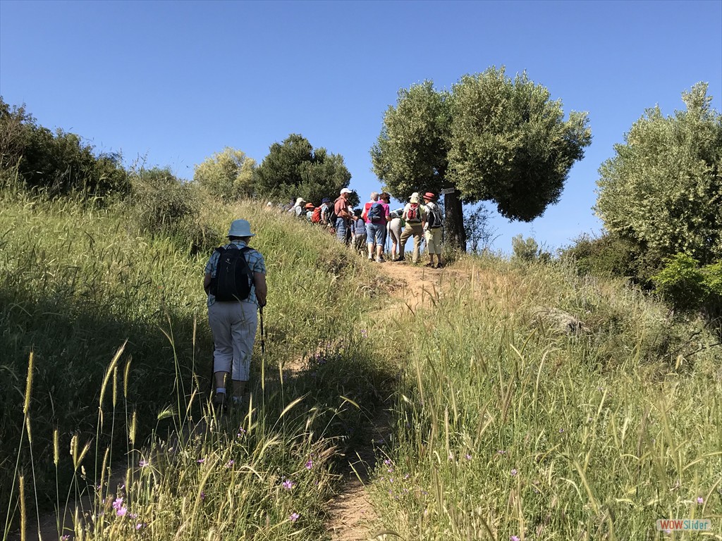 025 bei Toroni