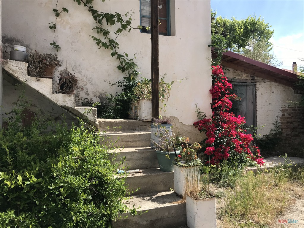 032 in Nikiti
