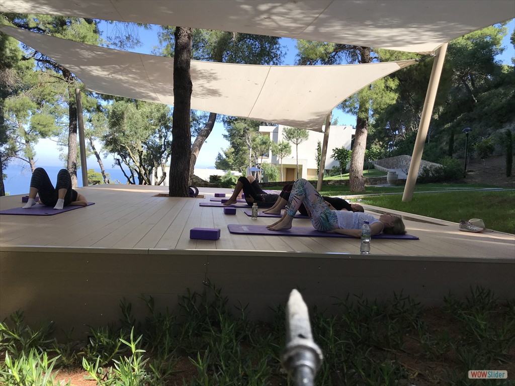 038 Pilates unter Pinien