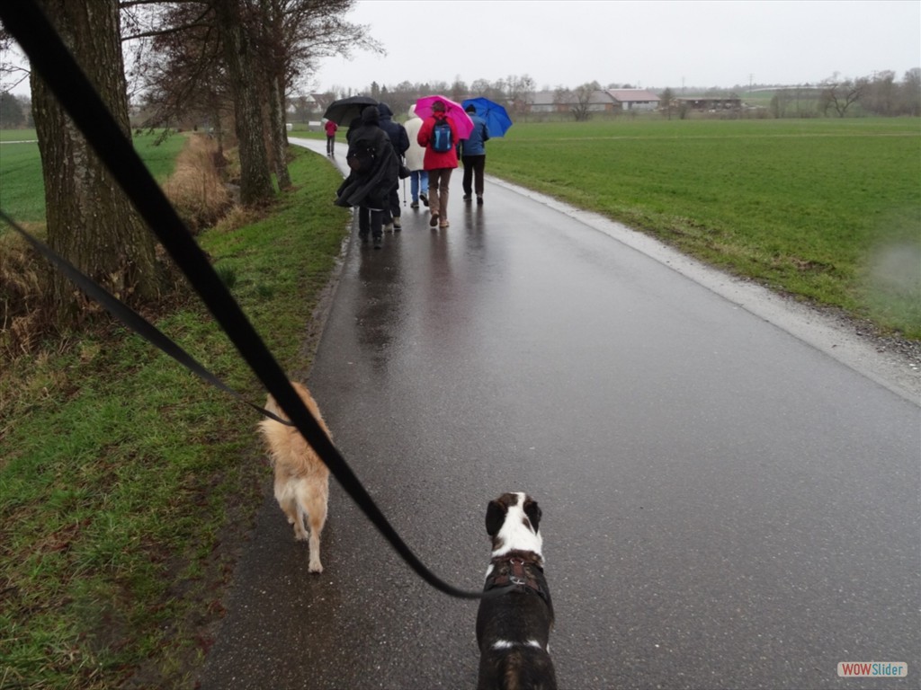 1 Los geht es zum Stüblehof