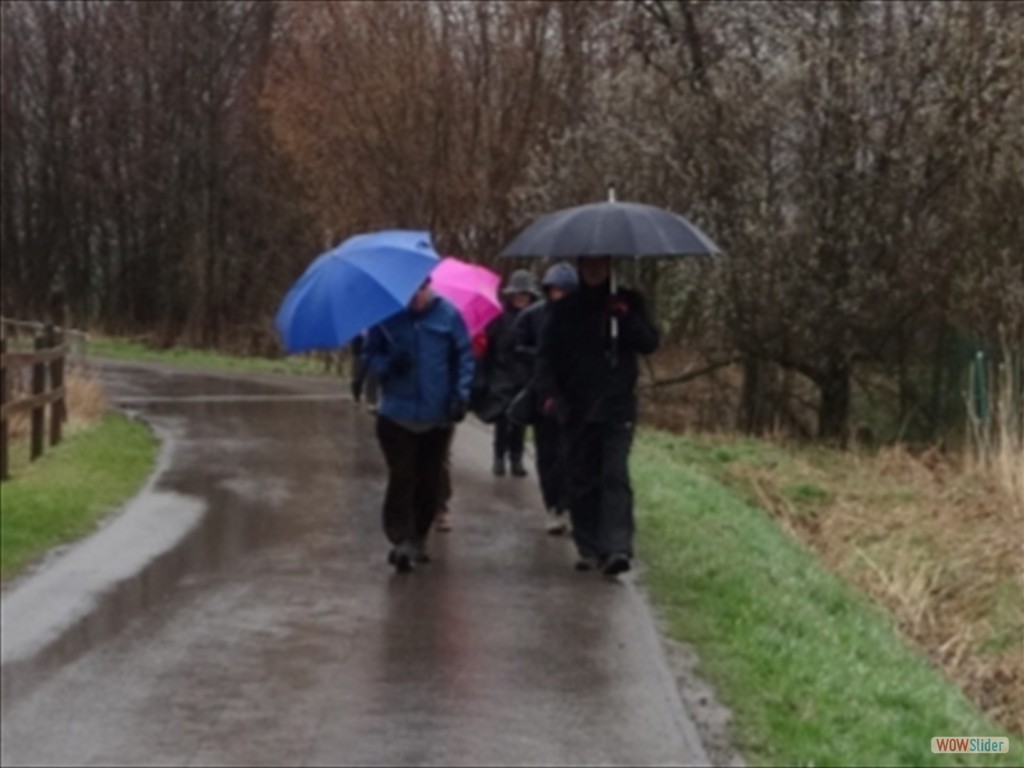 2 Versteckt sind die Wandersleut hinter den Regenschirmen(1)