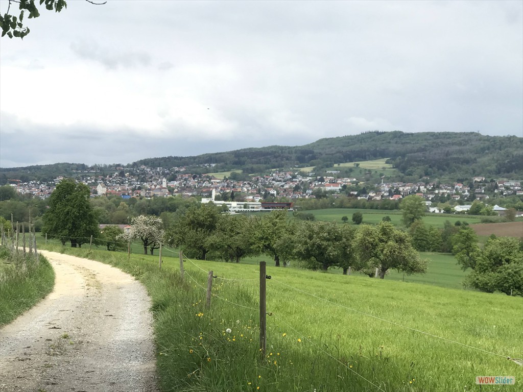 Bilck auf Markdorf und Gehrenberg 