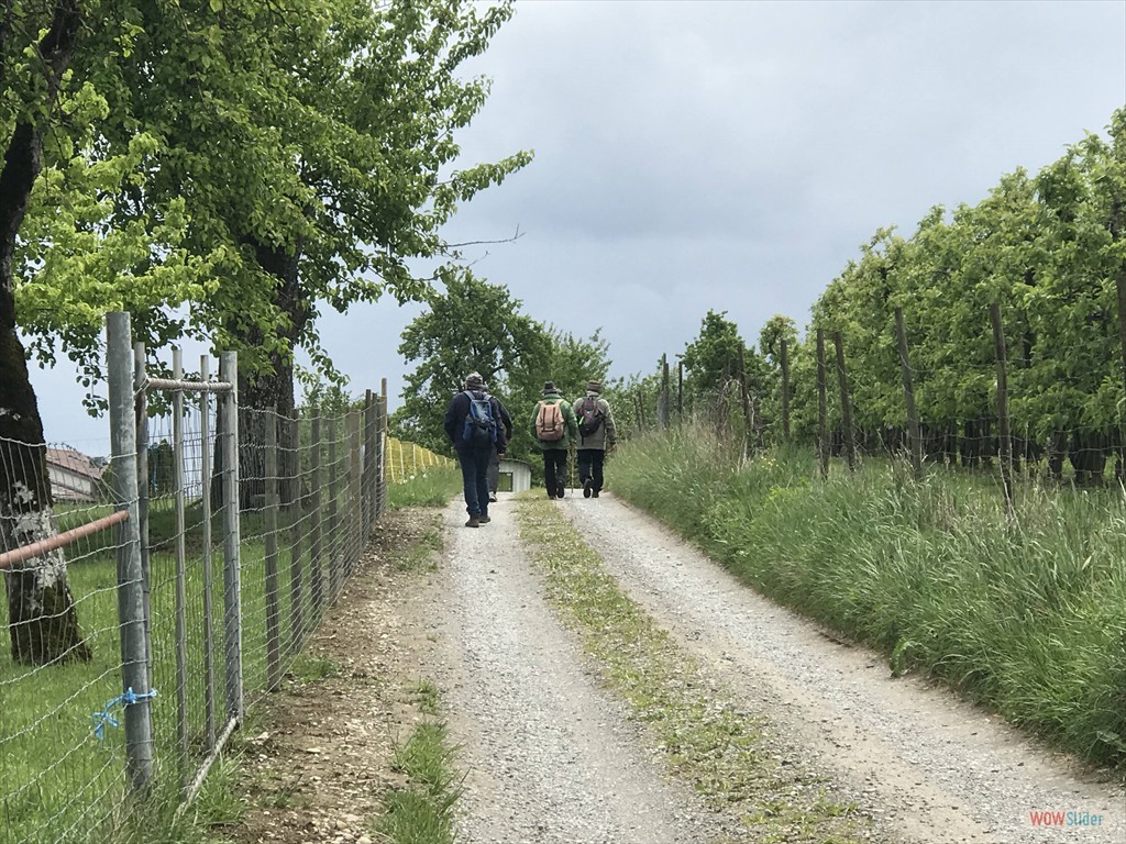 vorbei an Obstanlagen