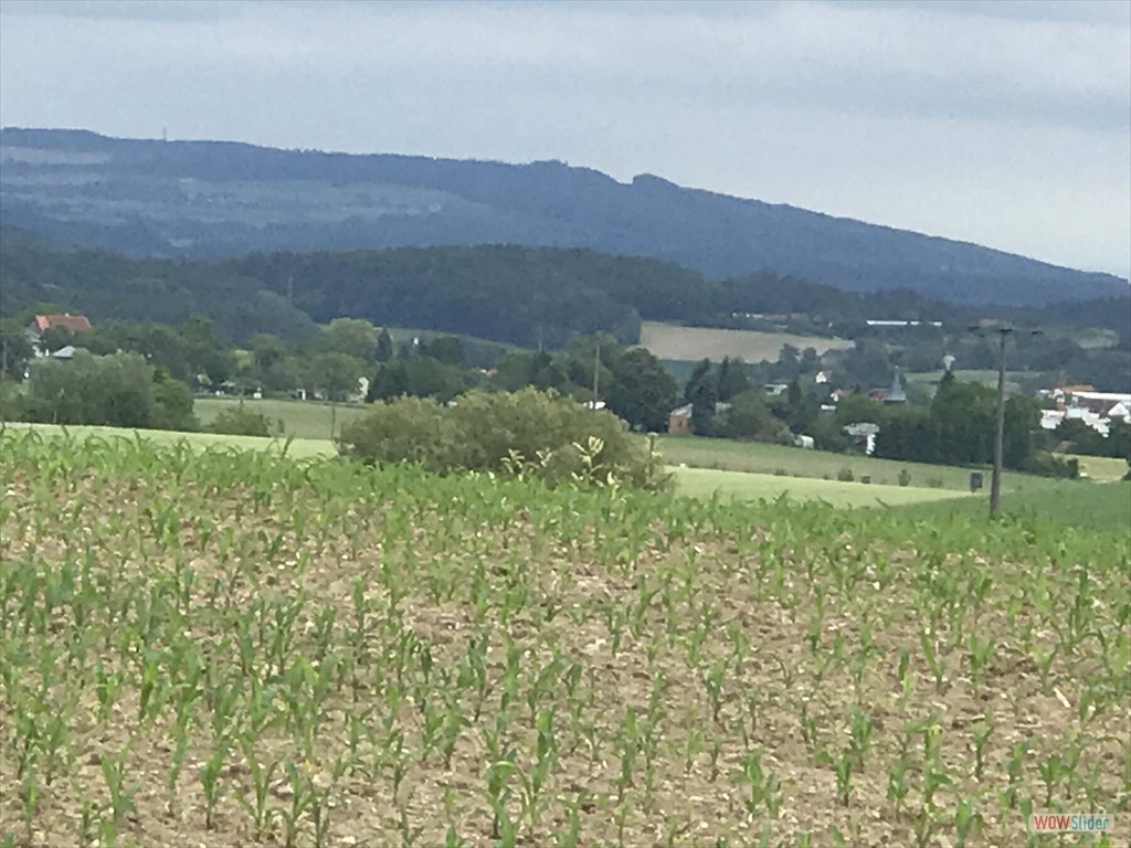 06 der Gehrenberg