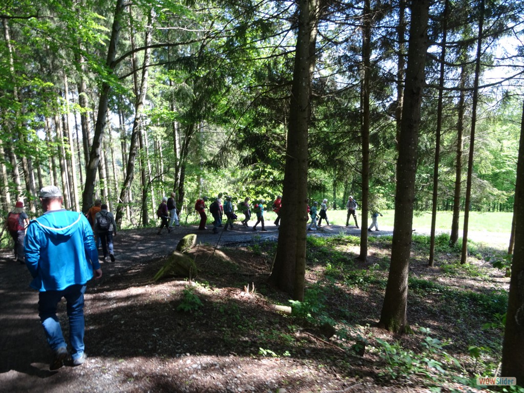 9. Dann ging es durch den Wald nach Zußdorf