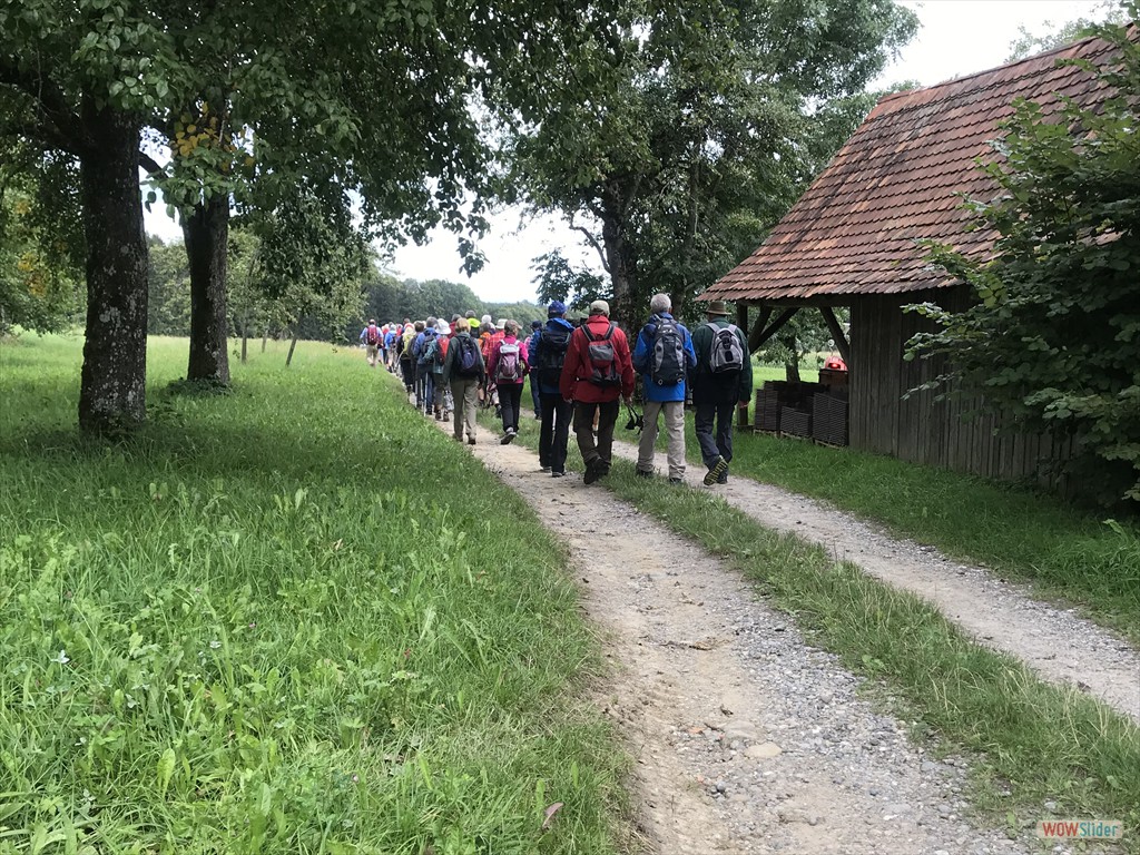 auf Feldweg 