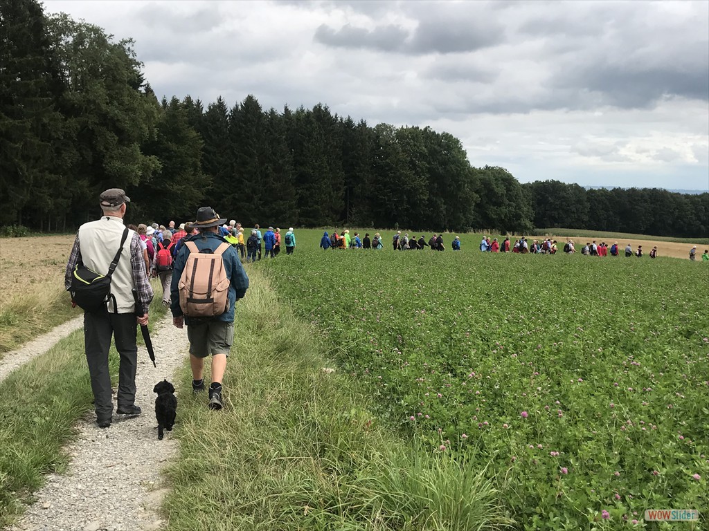 entlang des Kohltobels