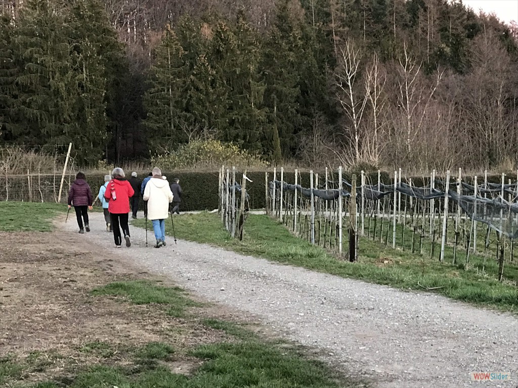 Richtung See