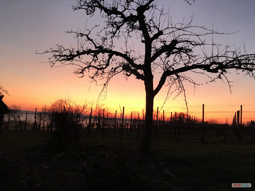 mit herrlicher Abendstimmung