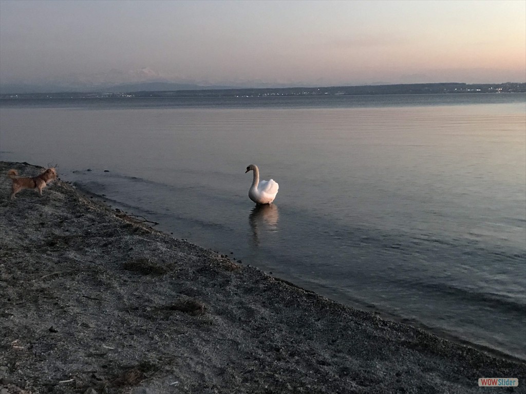 Blick Richtung Säntis