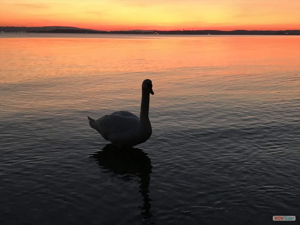 Blick Richtung Konstanz