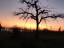mit herrlicher Abendstimmung