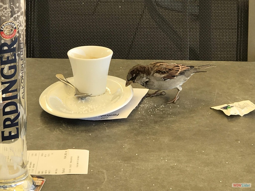 23 noch was übrig