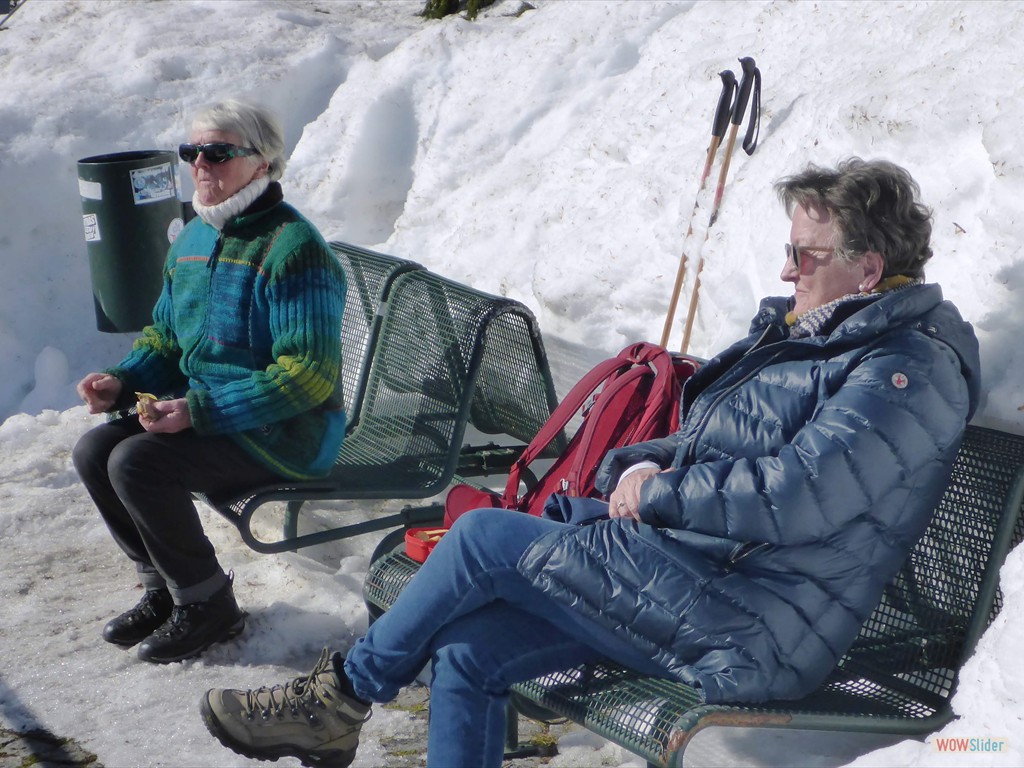 5. Genuss in der Sonne