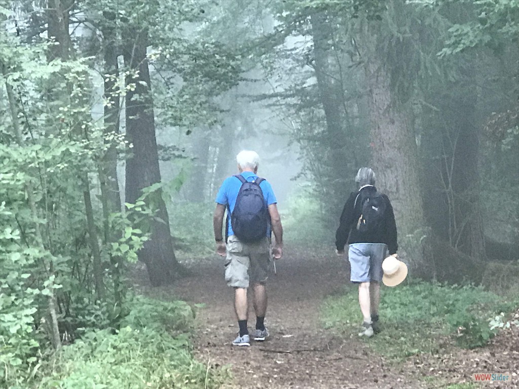 04 bei Nebel