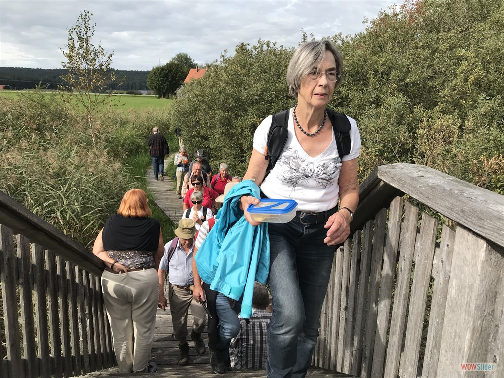 19 Aussichtsplattform