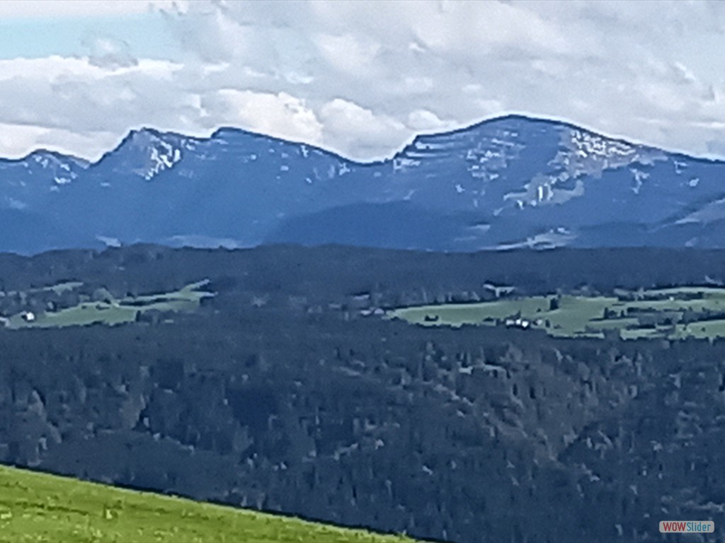 4.